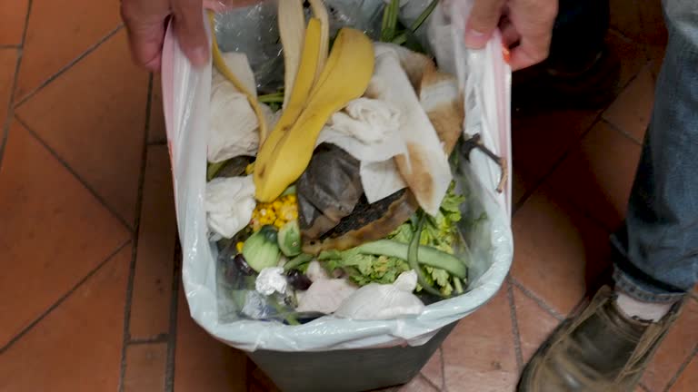 Recycling Services for Junk in Black Mountain, NC